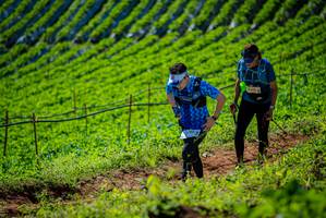 BIB: 1973
                            <button type="button" onclick="openModal(19161992)" class="btn btn-primary btn-sm float-right btn-popup" data-toggle="modal" data-target=".modal-high-quality">
                        <i class="fas fa-shopping-cart"></i> Add to Cart
                    </button>
                                            <button type="button" onclick="isThisMe(19161992, true)" class="btn btn-success btn-sm float-right btn-popup btn-isme hidden" data-toggle="tooltip" data-placement="bottom" title="นี่คือรูปของคุณใช่ไหม คลิกที่นี่เพื่อเอาเข้าอัลบั้ม">
                        <i class="fas fa-plus"></i> Add to album
                    </button>
                    <button type="button" onclick="isThisMe(19161992, false)" class="btn btn-warning btn-sm float-right btn-popup btn-isnotme hidden">
                        <i class="fas fa-ban"></i> Remove from album
                    </button>